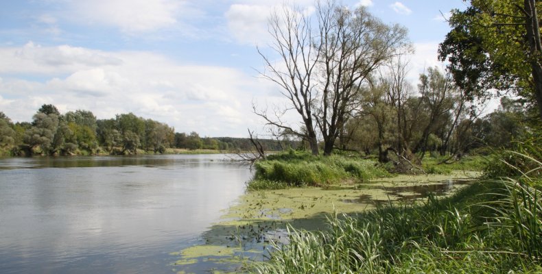 Rejs statkiem po rzece Bug