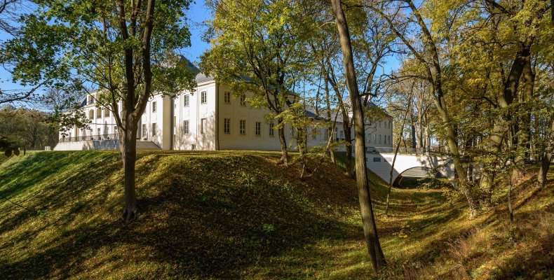 Alejki w Zamkowym parku