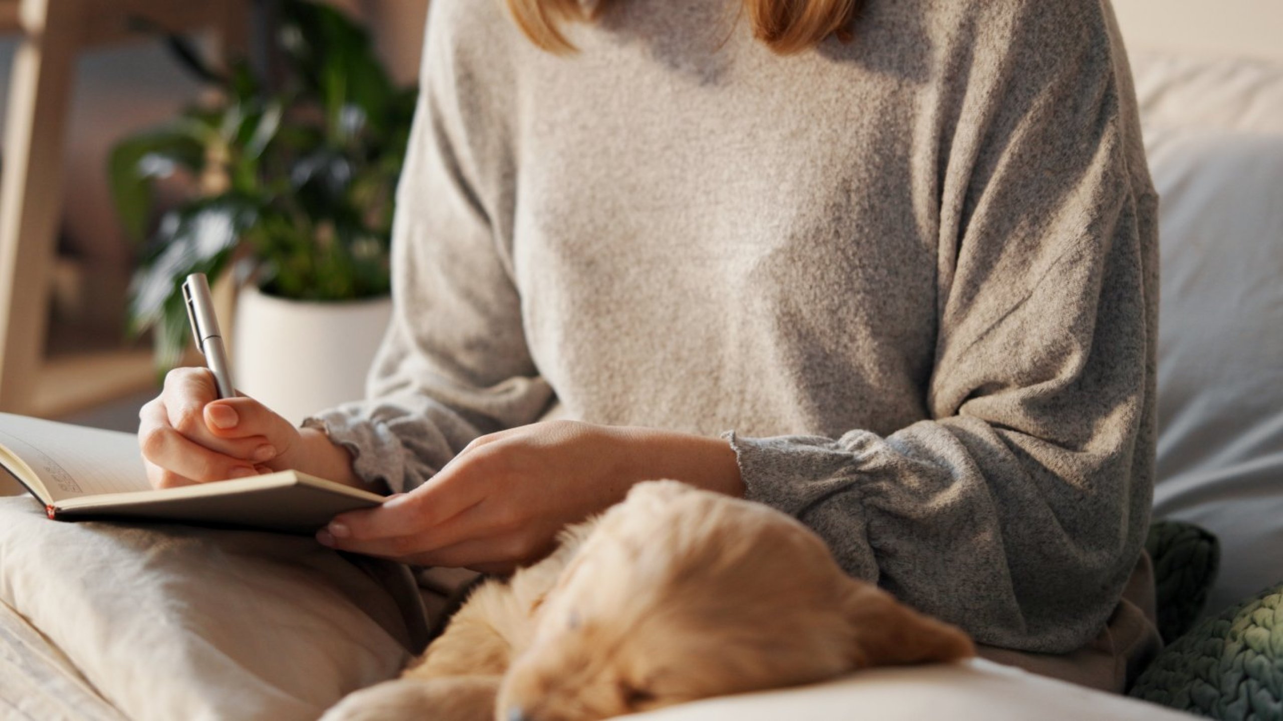 Poezja zamiast witamin