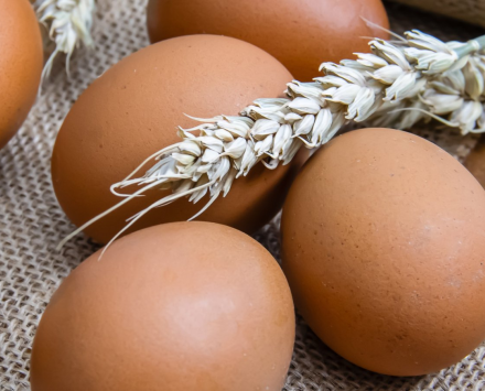 Wielkanoc w Metalowcu