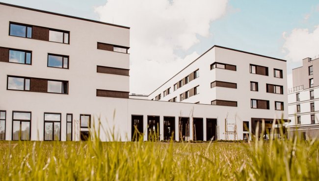 Profesjonalny zespół