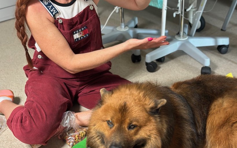 Szczegóły aktualności