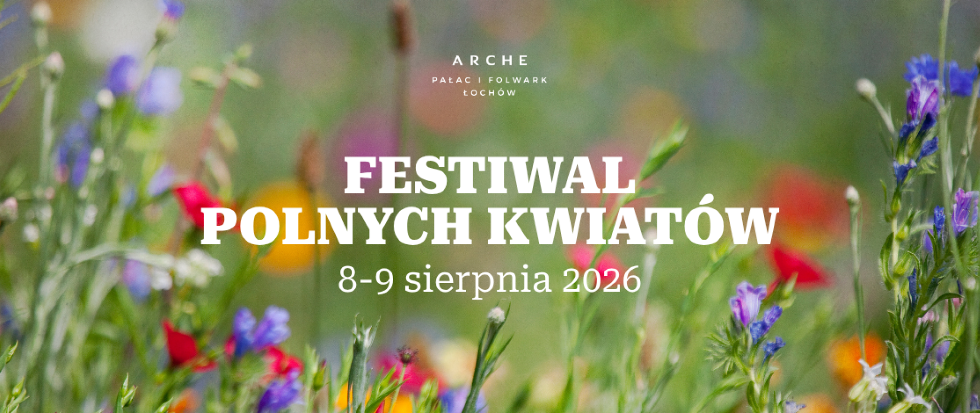 Festiwal Polnych Kwiatów