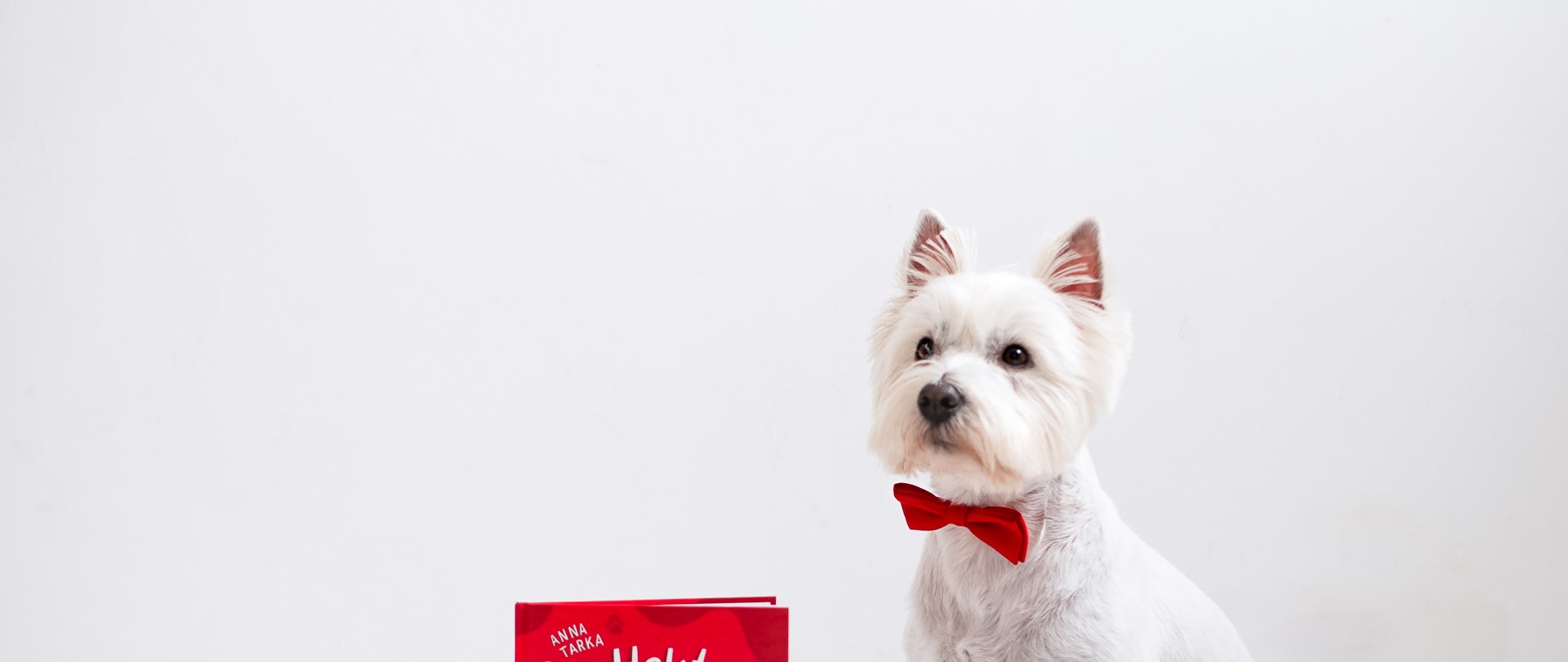 Spotkanie autorskie Pan Hektor 