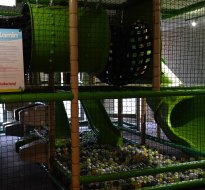 Діти в готелі