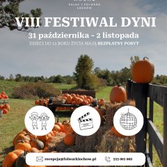 VIII Festiwal Dyni
