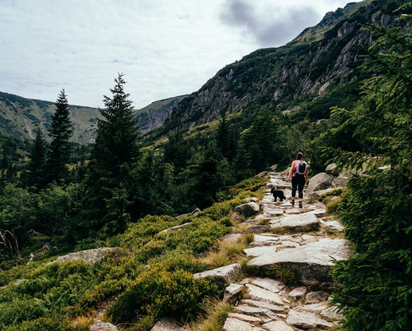 W samym centrum Karpacza!