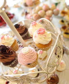 Oferta studni&oacute;wkowa
