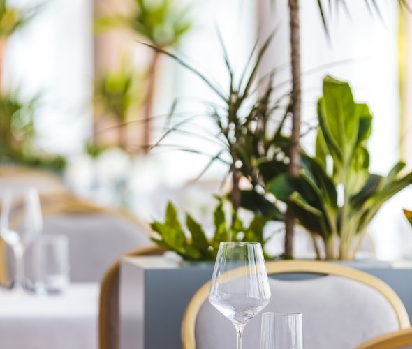 Profesjonalne podejście