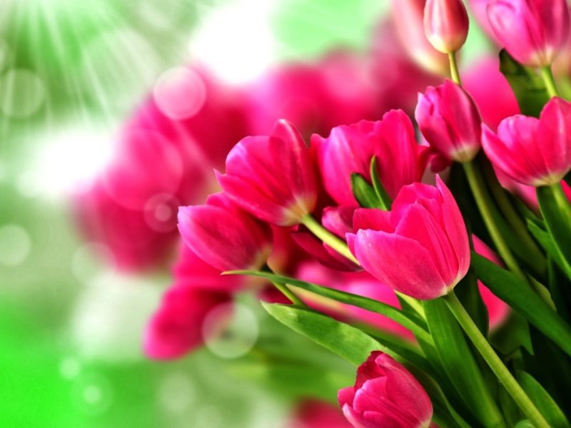 PREZENT NA DZIEŃ KOBIET